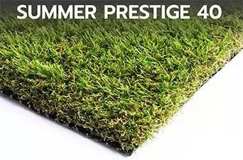 Summer Prestige 40