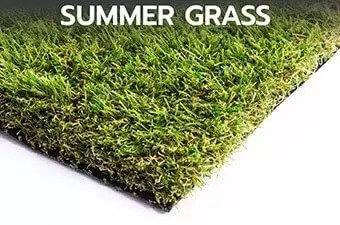 Summer Grass