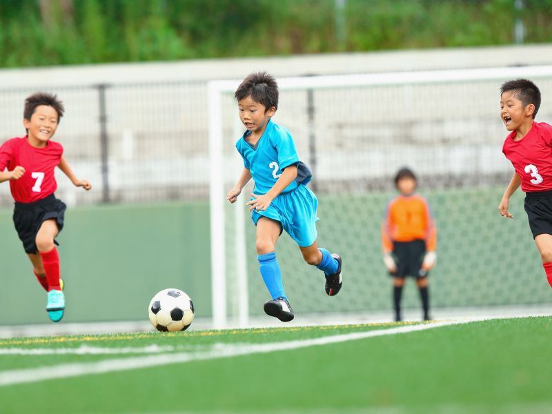 Artificial Turf Development for Playgrounds-Liverpool PLJ Group Australia Australia