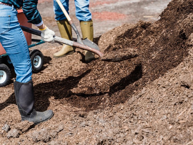 Comprehensive Earthworks Services-Liverpool PLJ Group Australia Australia