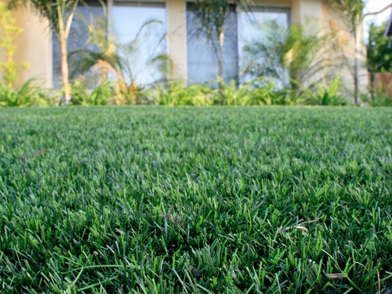 Synthetic Grass Installation Services-Katoomba PLJ Group Australia Australia