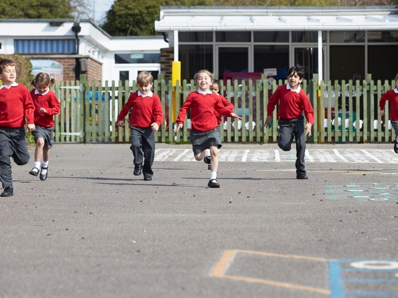 Nature Play Construction Services in High Range